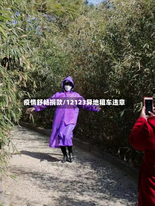 疫情舒畅捐款/12123异地租车违章