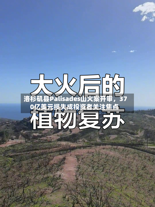 洛杉矶县Palisades山火案开审	，370亿美元损失成投资者关注焦点-第3张图片