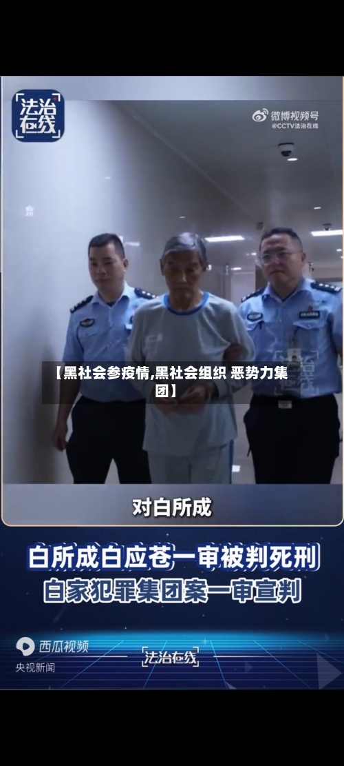 【黑社会参疫情,黑社会组织 恶势力集团】-第2张图片