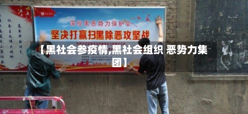 【黑社会参疫情,黑社会组织 恶势力集团】