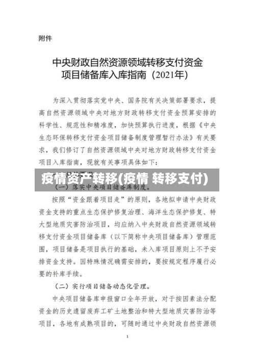 疫情资产转移(疫情 转移支付)-第2张图片