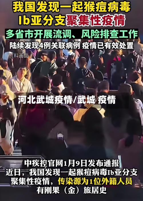 河北武城疫情/武城 疫情
