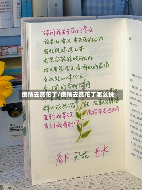 疫情去赏花了/疫情去赏花了怎么说