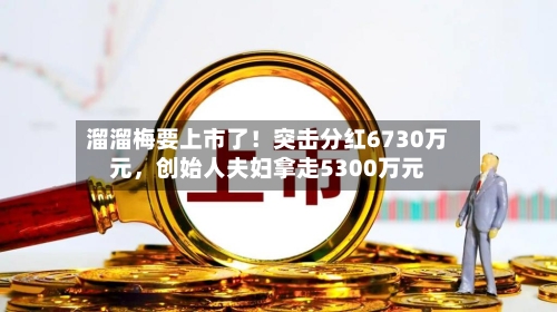 溜溜梅要上市了！突击分红6730万元，创始人夫妇拿走5300万元