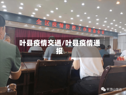 叶县疫情交通/叶县疫情通报-第2张图片