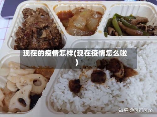 现在的疫情怎样(现在疫情怎么啦)-第3张图片