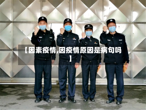 【因素疫情,因疫情原因是病句吗】-第2张图片