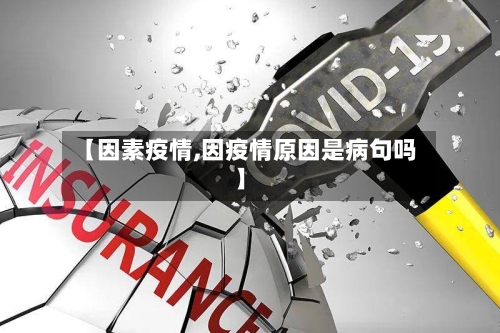 【因素疫情,因疫情原因是病句吗】