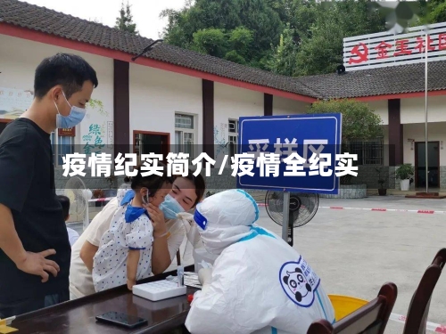 疫情纪实简介/疫情全纪实-第2张图片