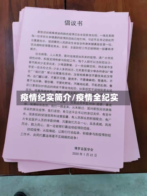 疫情纪实简介/疫情全纪实