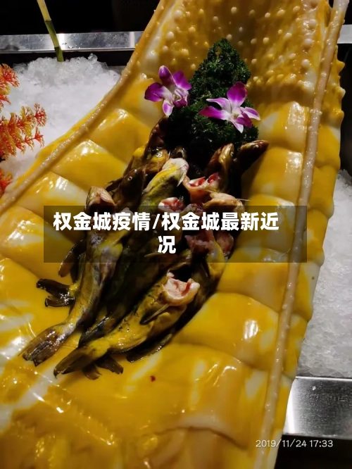 权金城疫情/权金城最新近况
