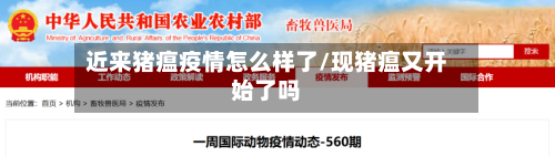 近来猪瘟疫情怎么样了/现猪瘟又开始了吗-第2张图片