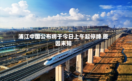 浦江中国公布将于今日上午起停牌 原因未知