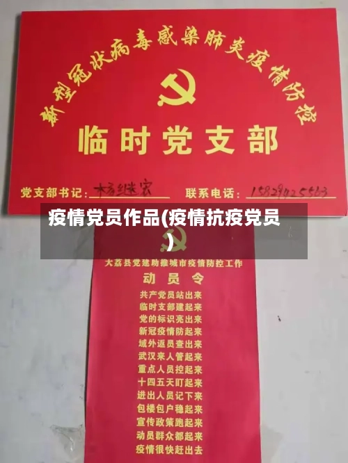 疫情党员作品(疫情抗疫党员)-第3张图片