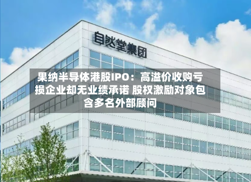 果纳半导体港股IPO:高溢价收购亏损企业却无业绩承诺 股权激励对象包含多名外部顾问-第3张图片