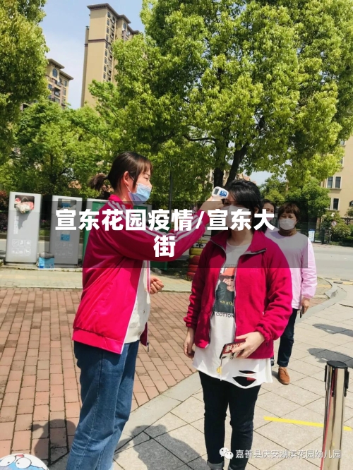 宣东花园疫情/宣东大街-第3张图片
