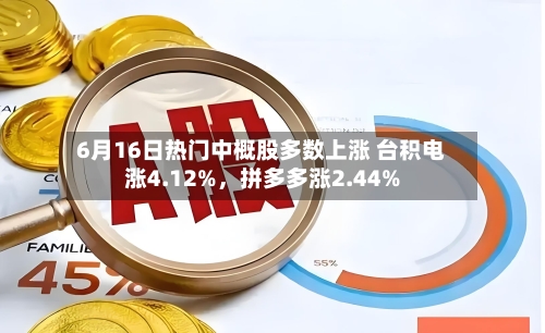 6月16日热门中概股多数上涨 台积电涨4.12%，拼多多涨2.44%-第2张图片