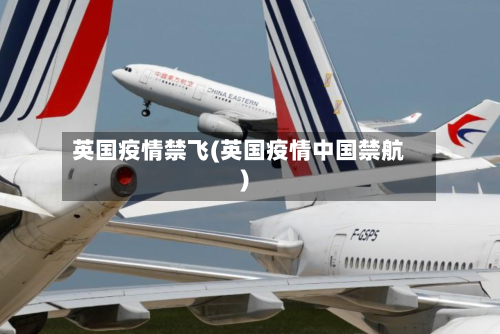 英国疫情禁飞(英国疫情中国禁航)