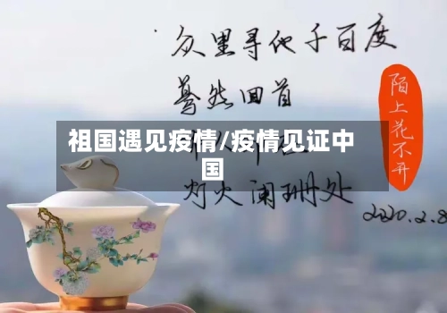祖国遇见疫情/疫情见证中国