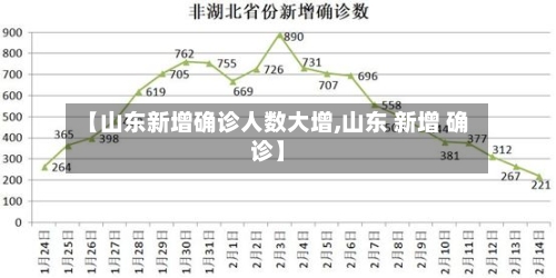 【山东新增确诊人数大增,山东 新增 确诊】