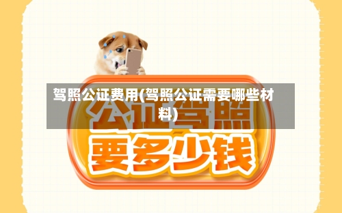驾照公证费用(驾照公证需要哪些材料)-第3张图片