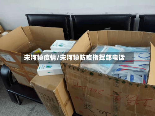 宋河镇疫情/宋河镇防疫指挥部电话-第3张图片
