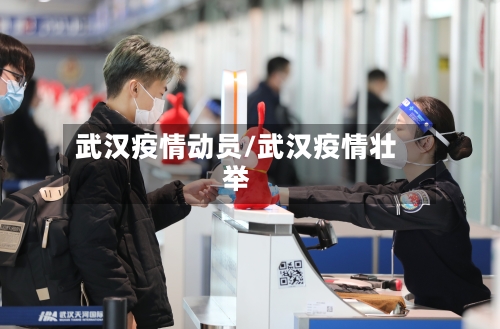 武汉疫情动员/武汉疫情壮举-第2张图片