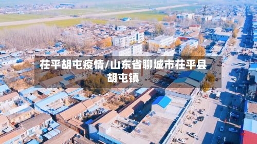 茌平胡屯疫情/山东省聊城市茌平县胡屯镇-第2张图片