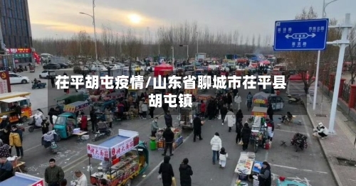 茌平胡屯疫情/山东省聊城市茌平县胡屯镇-第3张图片