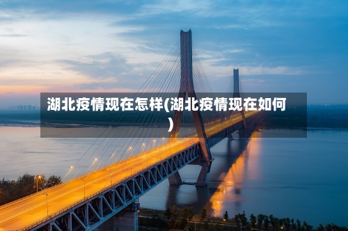 湖北疫情现在怎样(湖北疫情现在如何)-第3张图片