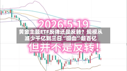 黄金主题ETF反弹还是反转？规模从减少千亿到三日“回血”超百亿-第3张图片