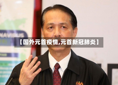 【国外元首疫情,元首新冠肺炎】-第3张图片
