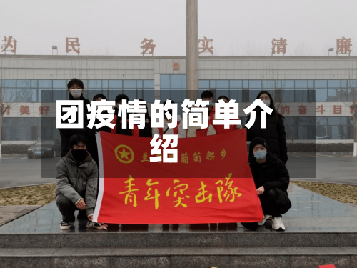 团疫情的简单介绍