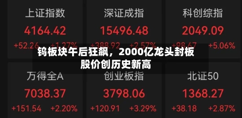 钨板块午后狂飙，2000亿龙头封板股价创历史新高-第2张图片