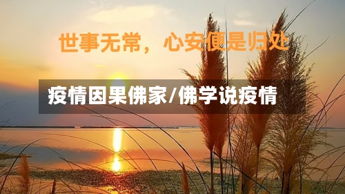 疫情因果佛家/佛学说疫情-第3张图片