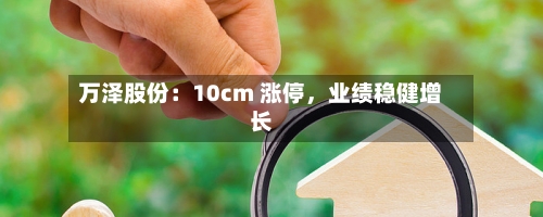 万泽股份：10cm 涨停，业绩稳健增长-第2张图片