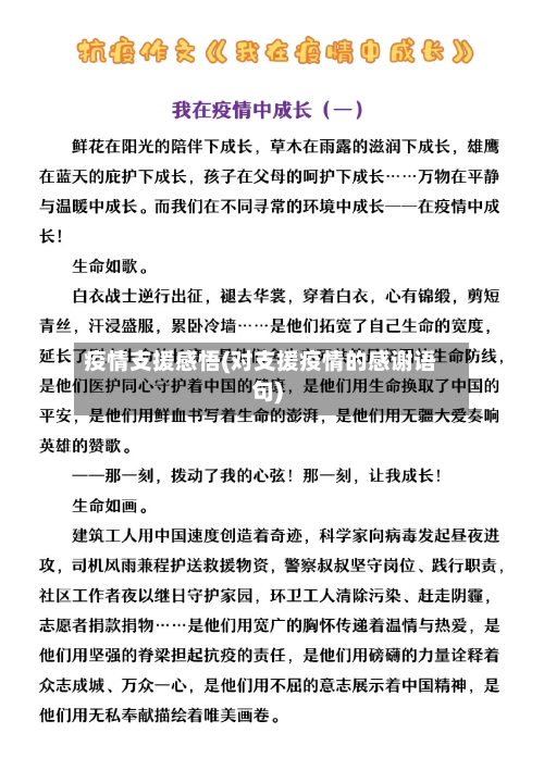 疫情支援感悟(对支援疫情的感谢语句)-第2张图片