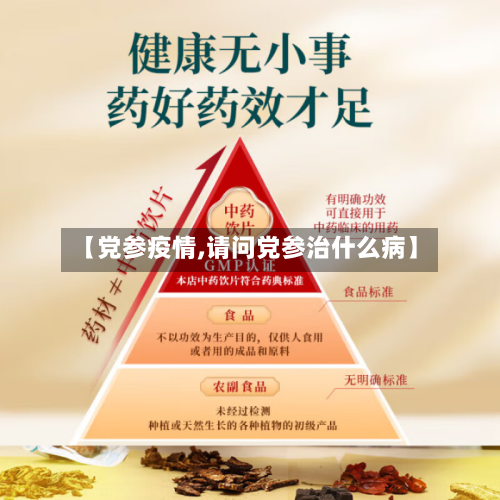 【党参疫情,请问党参治什么病】-第2张图片