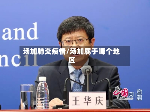 汤加肺炎疫情/汤加属于哪个地区-第3张图片