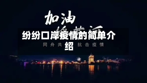 纷纷口岸疫情的简单介绍-第3张图片
