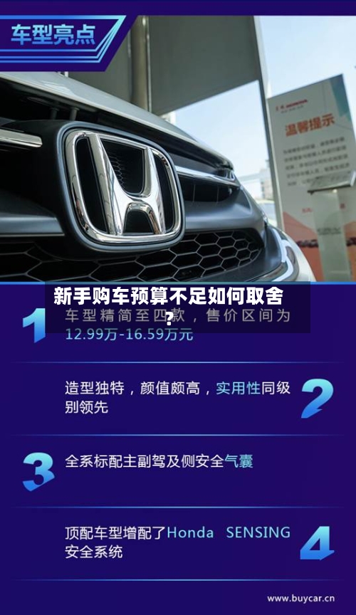 新手购车预算不足如何取舍?-第3张图片