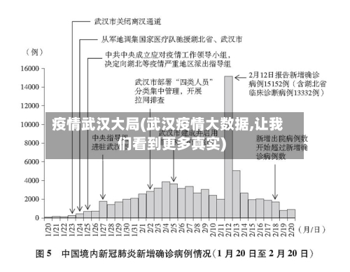 疫情武汉大局(武汉疫情大数据,让我们看到更多真实)
