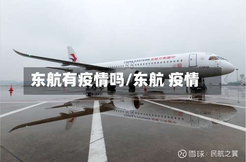 东航有疫情吗/东航 疫情-第2张图片