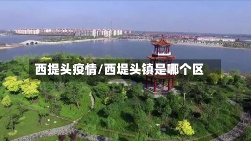 西提头疫情/西堤头镇是哪个区