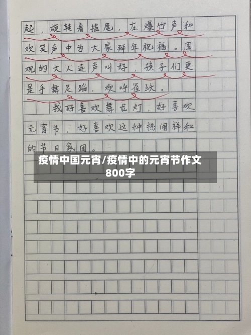 疫情中国元宵/疫情中的元宵节作文800字