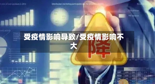 受疫情影响导致/受疫情影响不大-第2张图片