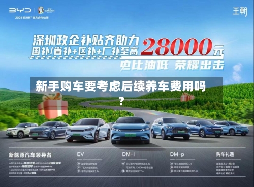 新手购车要考虑后续养车费用吗？