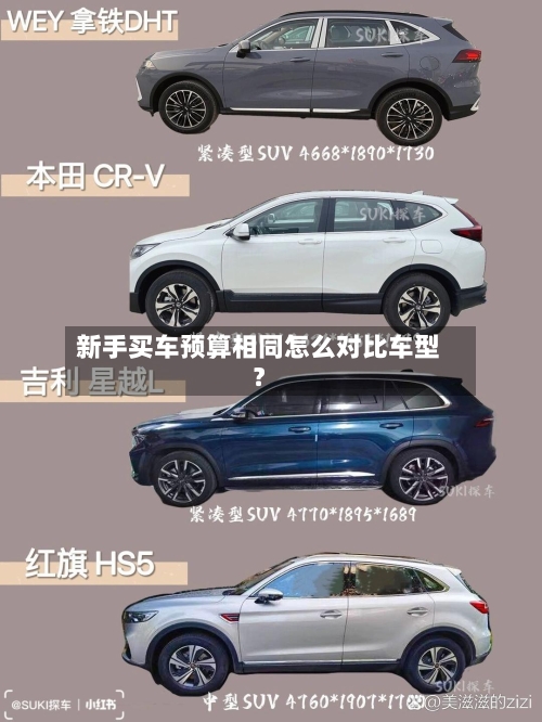 新手买车预算相同怎么对比车型?-第2张图片