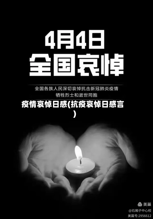 疫情哀悼日感(抗疫哀悼日感言)-第3张图片