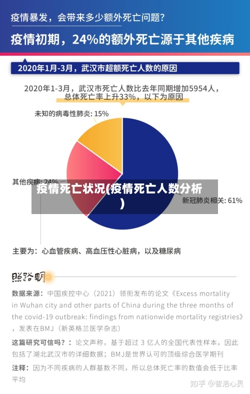 疫情死亡状况(疫情死亡人数分析)